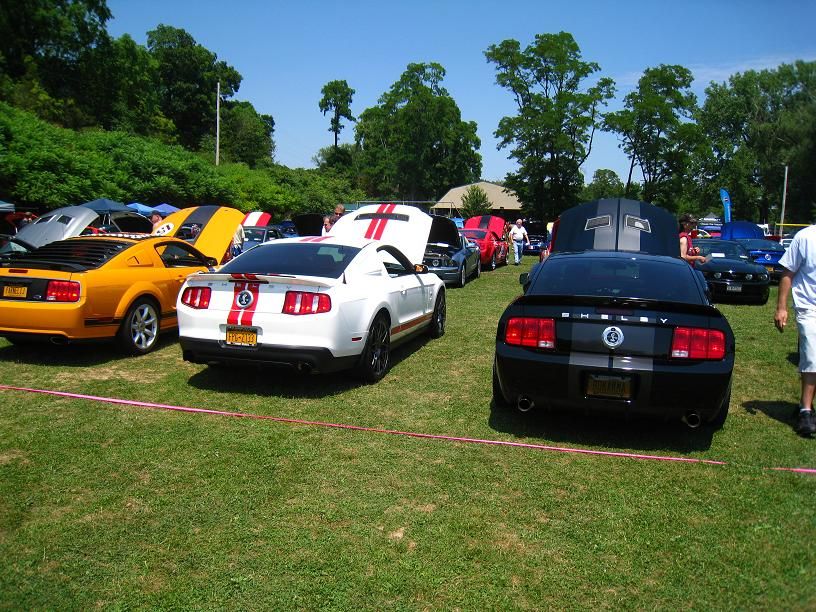 Hudson Valley Mustang Association Car Show Kingston NY PICS Ford